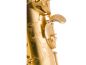 Preview: Antigua Model 25 Alto Detail Preview: Antigua Model 25 Alto Detail