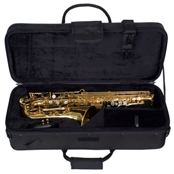 Koffer Altsaxophon ProTec PB 304