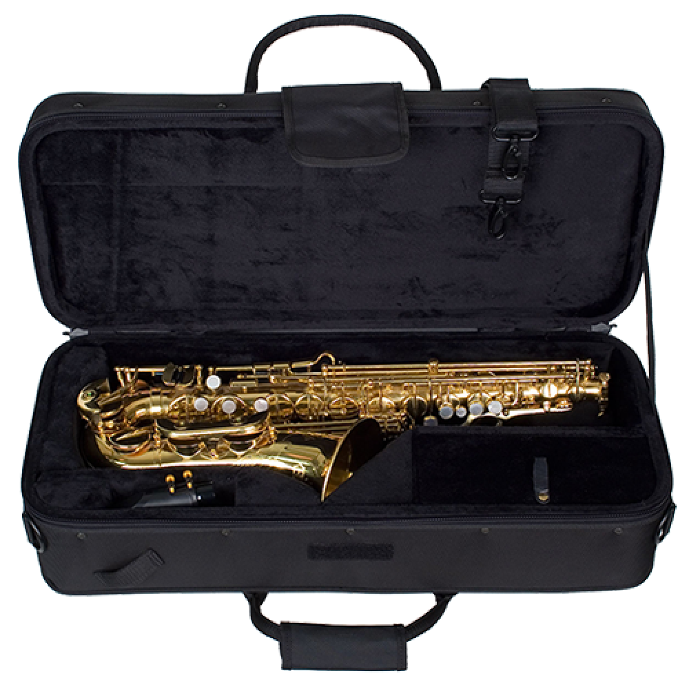 Koffer Altsaxophon ProTec PB 304