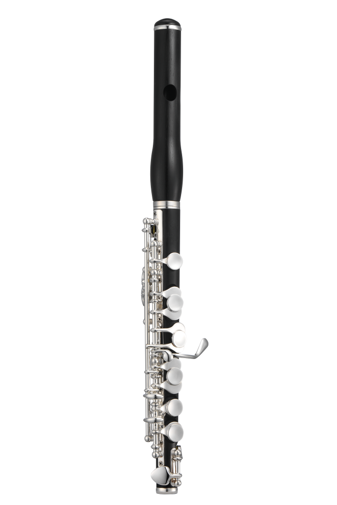 Piccolo Jupiter JPC 1100E