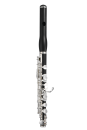 Piccolo Jupiter JPC 1100E